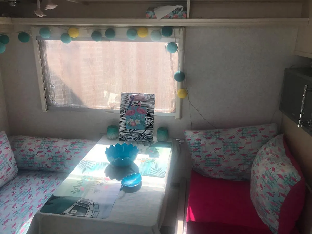 Gardencaravan near Ghent in green area Camping