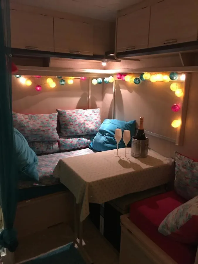 Camping Gardencaravan near Ghent in green area